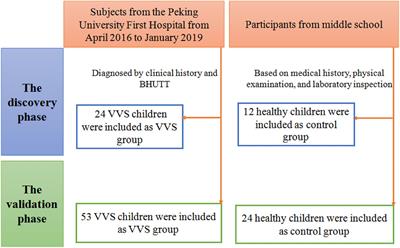 Plasma human growth cytokines in children with vasovagal syncope